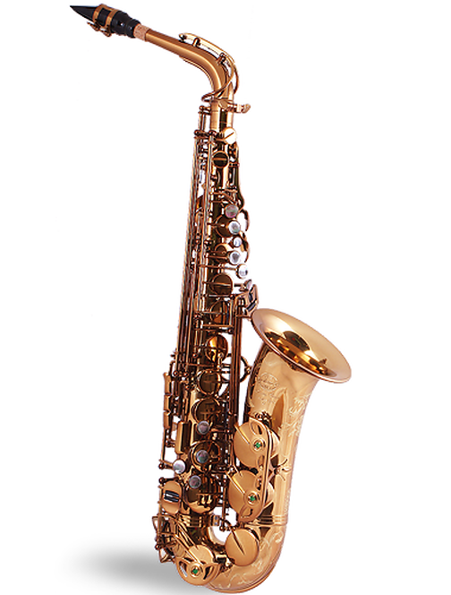 Saxo Alto System'54 Superior Class R-Series Vintage Gold 