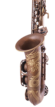 Saxo Alt System'54 Superior Class R-Series Pure Brass 