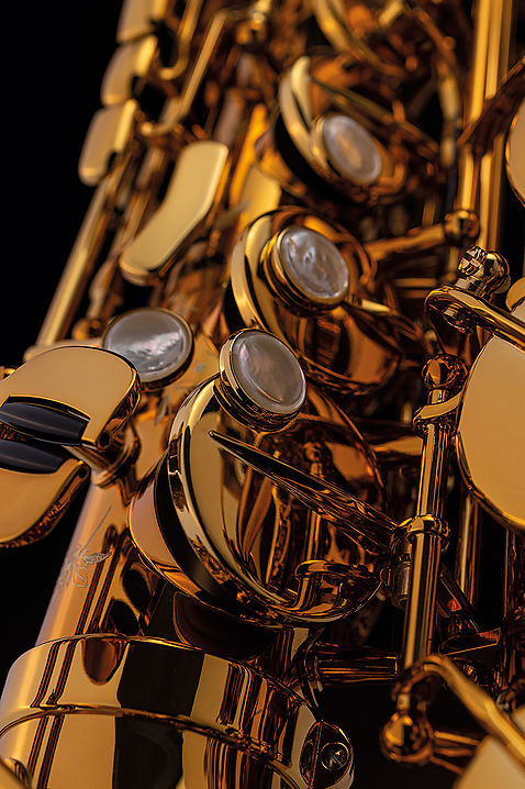 Alto Saxophone Selmer Supreme DGG Goldmessing