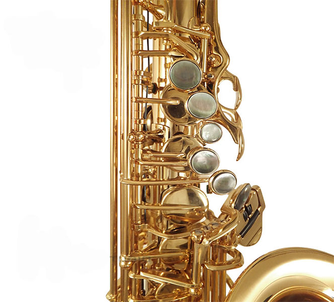 Saxo Alto System'54 Superior Class R-Series Dark Gold Lacquer